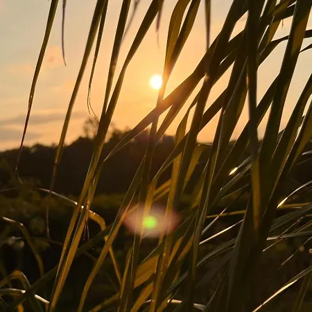 Glamping La Yurta Nel Luxe Ingerichte 4persoons Belltent *