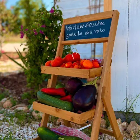 Campsite Glamping La Yurta Nel Luxe Ingerichte 4persoons Belltent Torino di Sangro