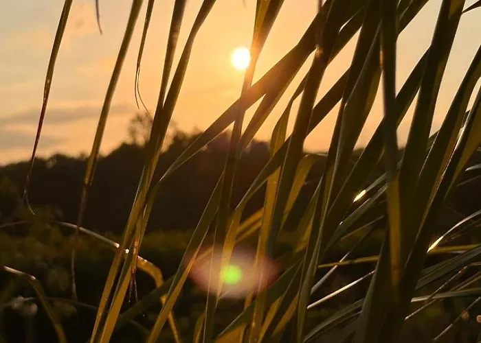 Glamping La Yurta Nel Luxe Ingerichte 4persoons Belltent *